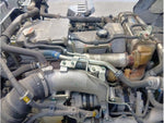 RANGER