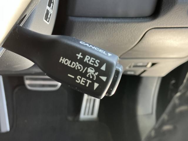 LEXUS GS300h