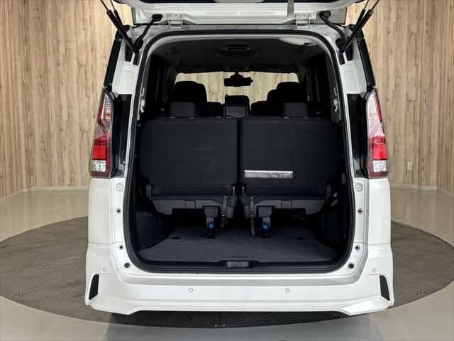 SERENA  S-HYBRID