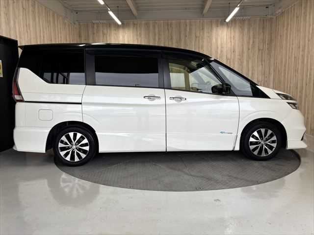 SERENA  S-HYBRID