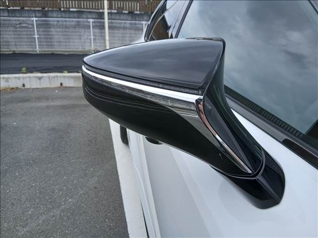 LEXUS IS300h