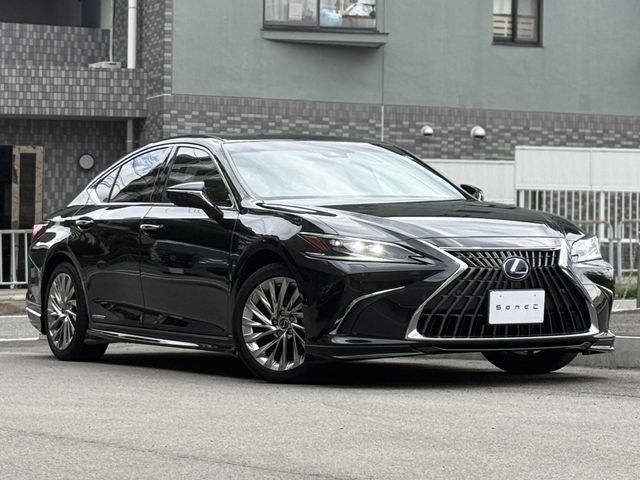 LEXUS ES300h