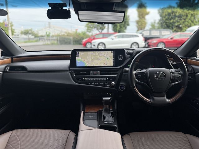LEXUS ES300h
