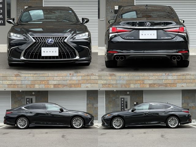 LEXUS ES300h