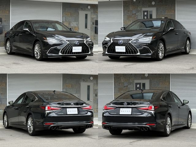 LEXUS ES300h