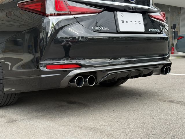 LEXUS ES300h