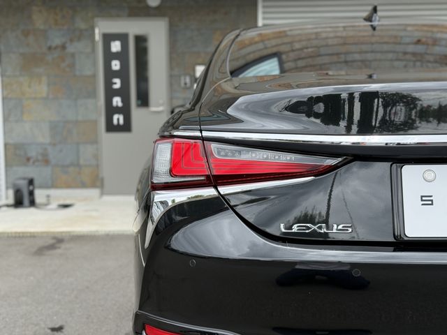 LEXUS ES300h