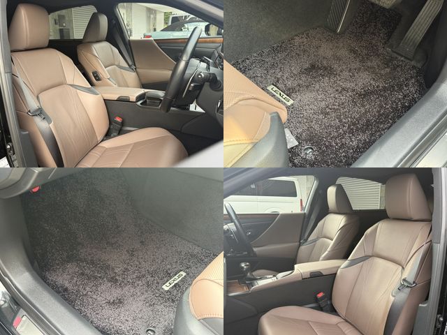 LEXUS ES300h