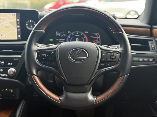LEXUS ES300h