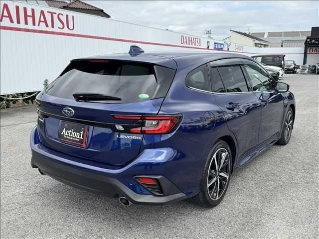 LEVORG