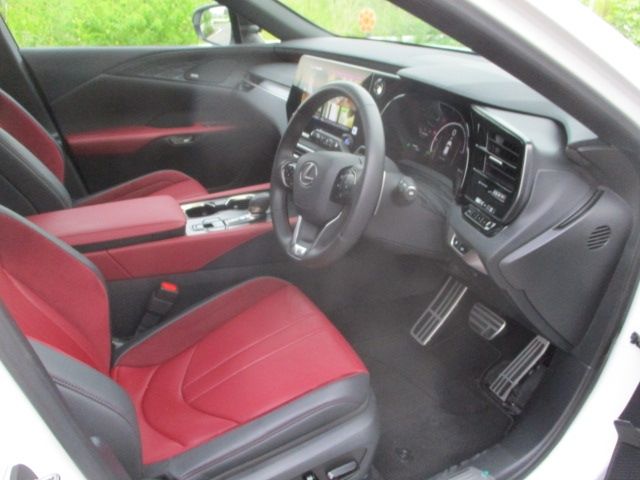 LEXUS RX500h