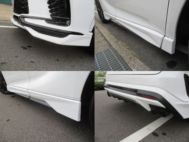 LEXUS RX500h