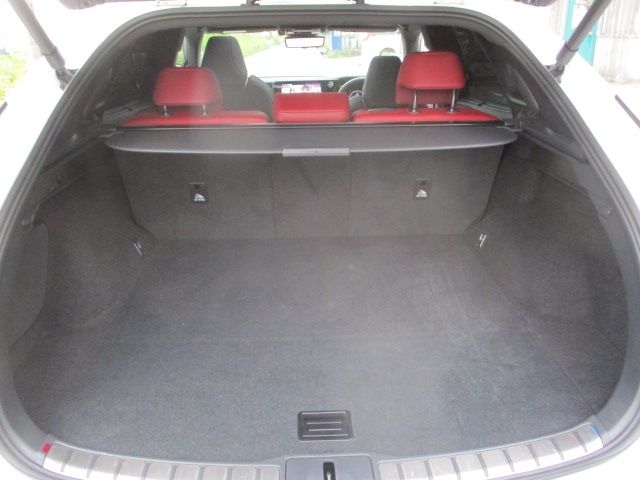 LEXUS RX500h