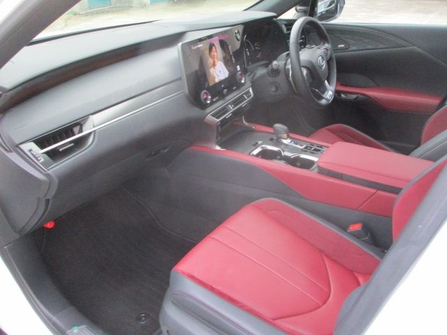 LEXUS RX500h