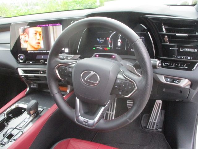 LEXUS RX500h