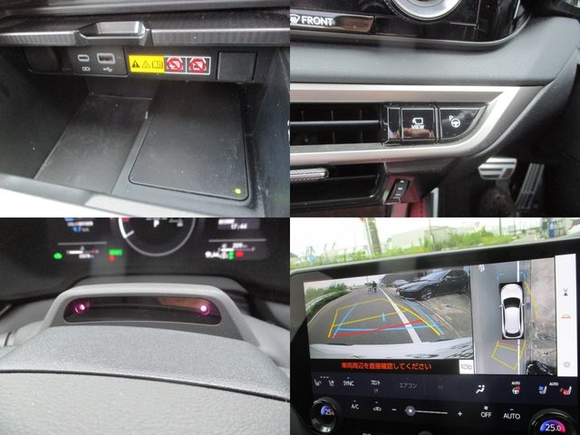 LEXUS RX500h