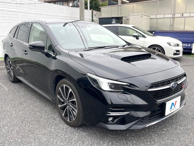 LEVORG