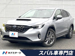 LEVORG LAYBACK