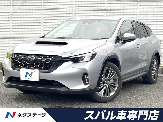 LEVORG LAYBACK