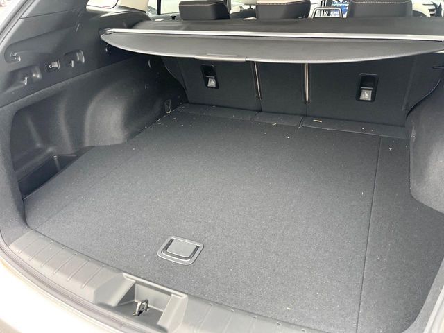 LEVORG LAYBACK