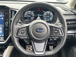 LEVORG LAYBACK