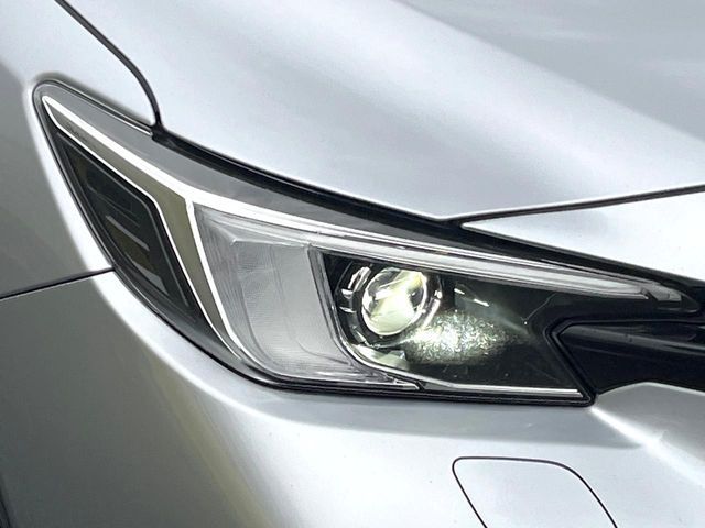 LEVORG LAYBACK