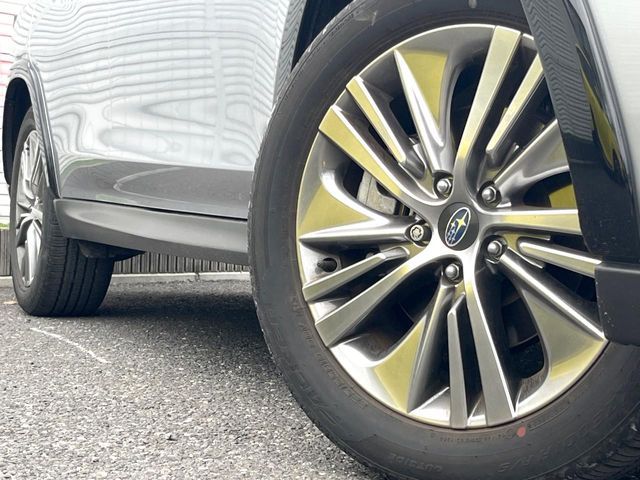 LEVORG LAYBACK