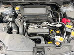 LEVORG LAYBACK