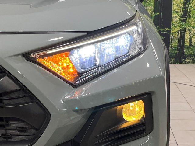 RAV4 4WD