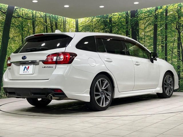 LEVORG