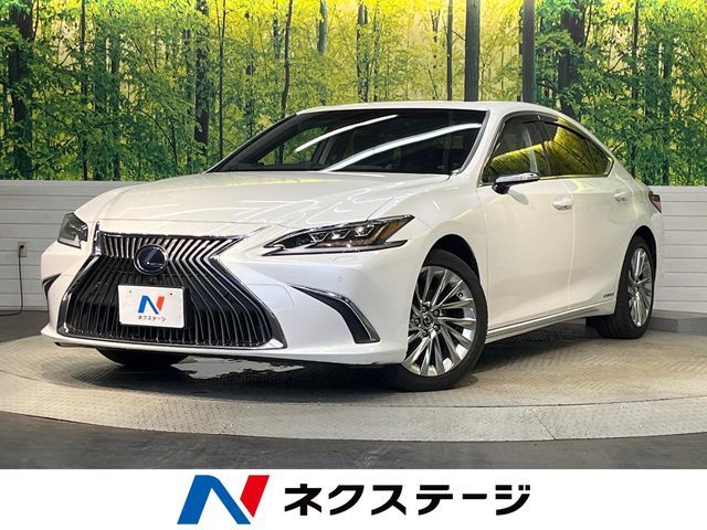 LEXUS ES300h