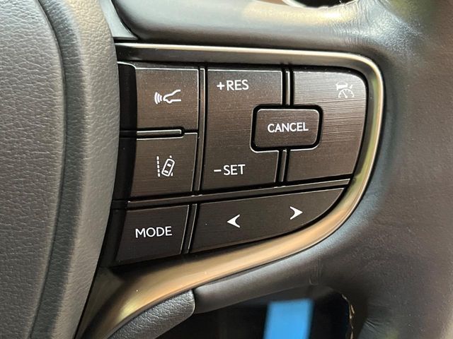 LEXUS ES300h