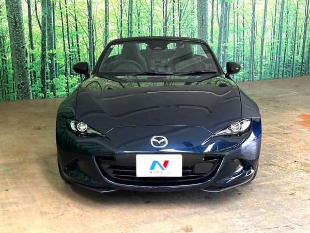ROADSTER