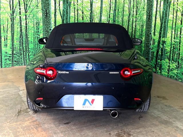 ROADSTER