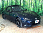 ROADSTER