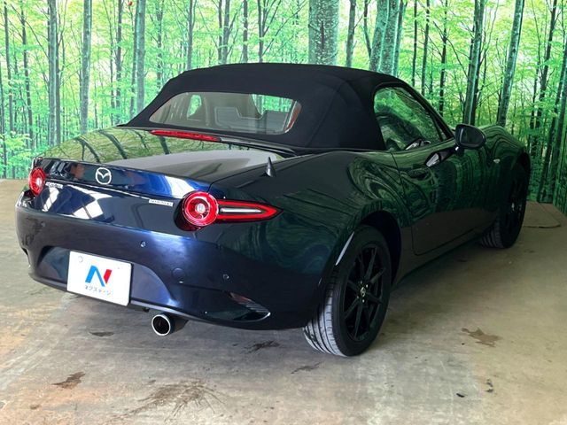 ROADSTER