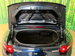 ROADSTER