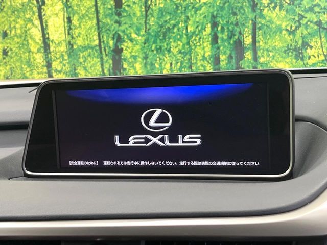 LEXUS RX200t