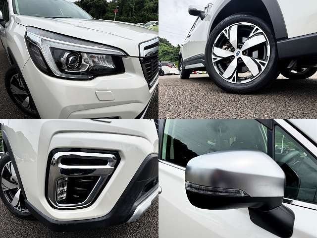 FORESTER