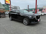 CX-80