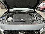 CX-80