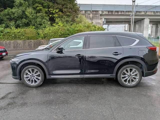 CX-8