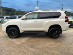 LANDCRUISER PRADO