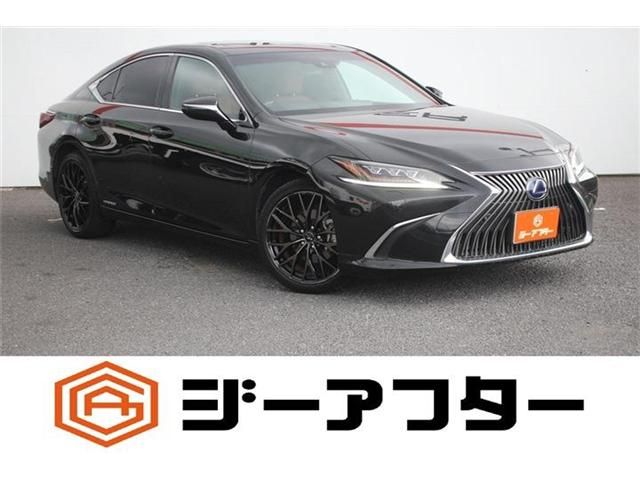 LEXUS ES300h