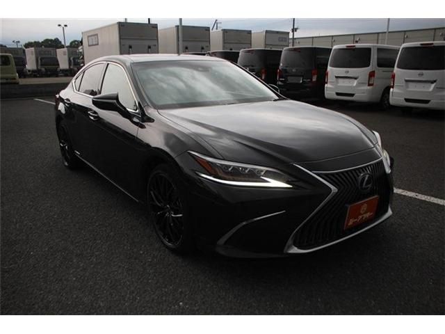 LEXUS ES300h