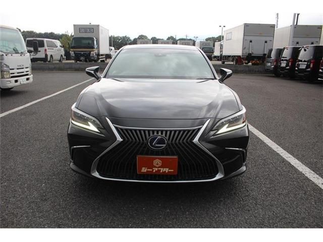 LEXUS ES300h