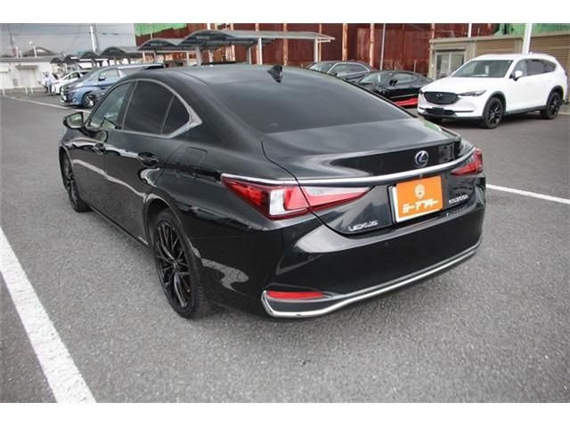 LEXUS ES300h