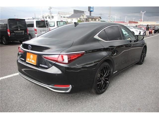 LEXUS ES300h