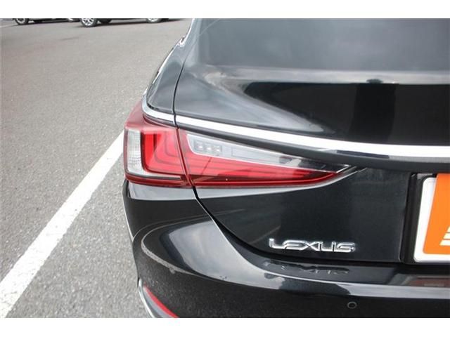 LEXUS ES300h