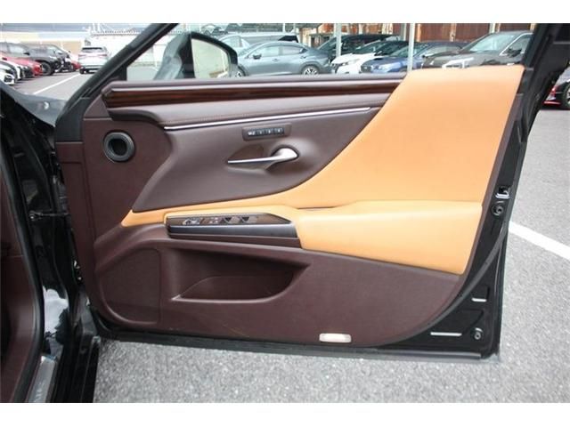 LEXUS ES300h